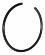 Seeger springring